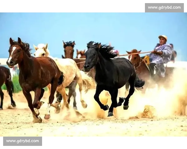 锡林郭勒蒙古马超级联赛总决赛燃情开赛 万马奔腾演绎草原速度与激情